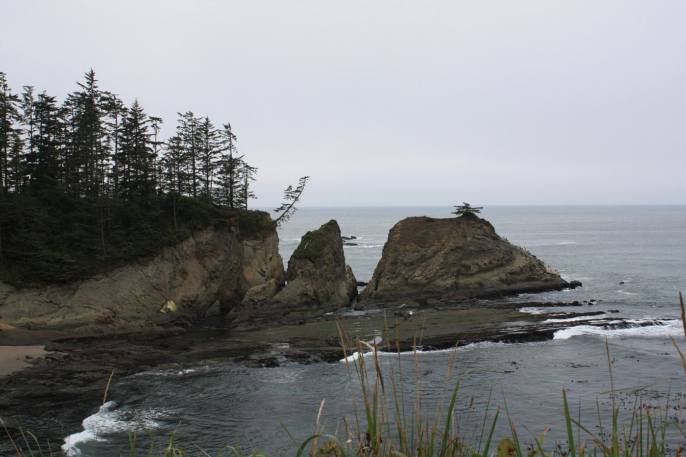 Cape Arago State Park