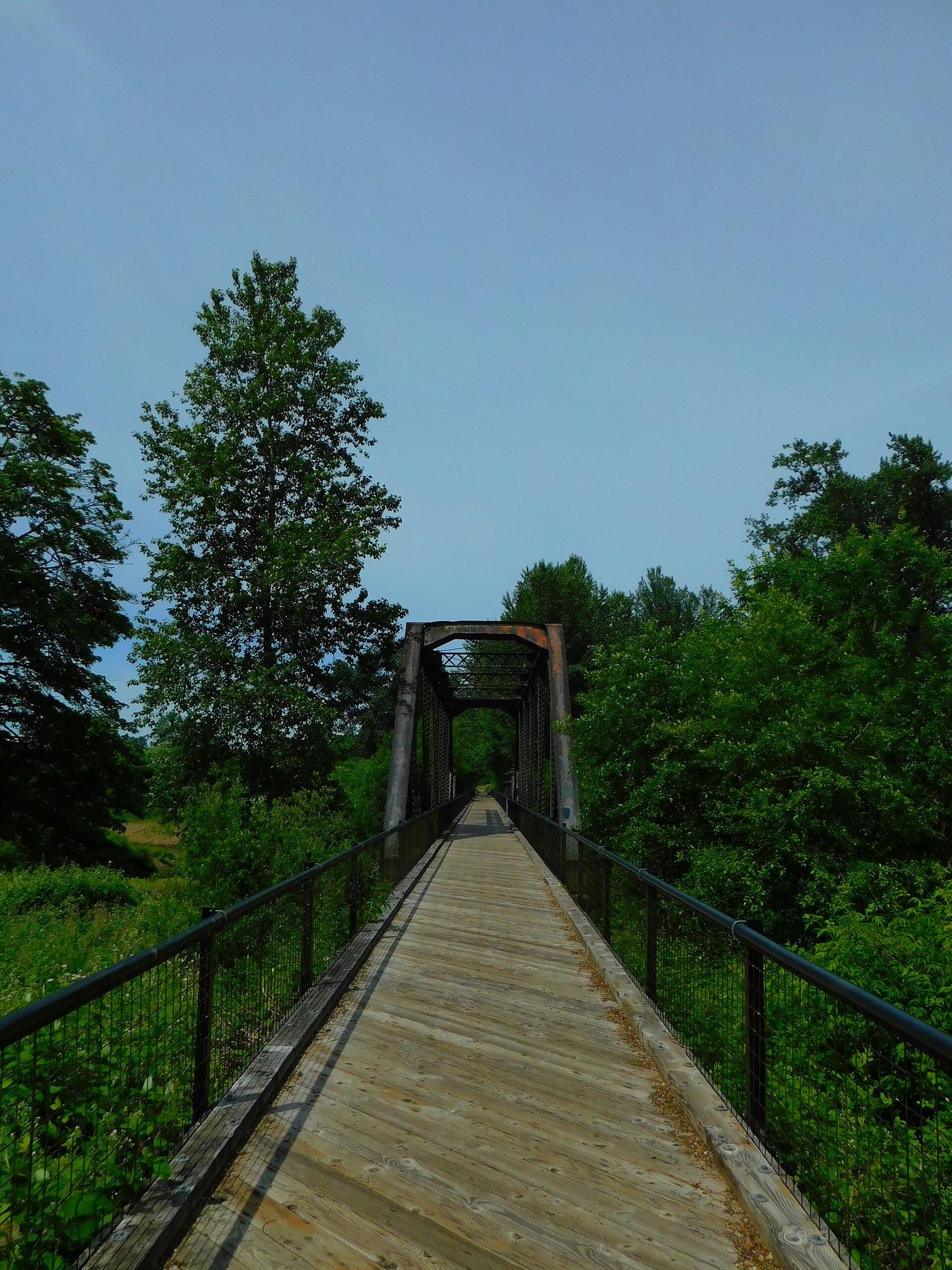 Willapa Hills State Park Trail