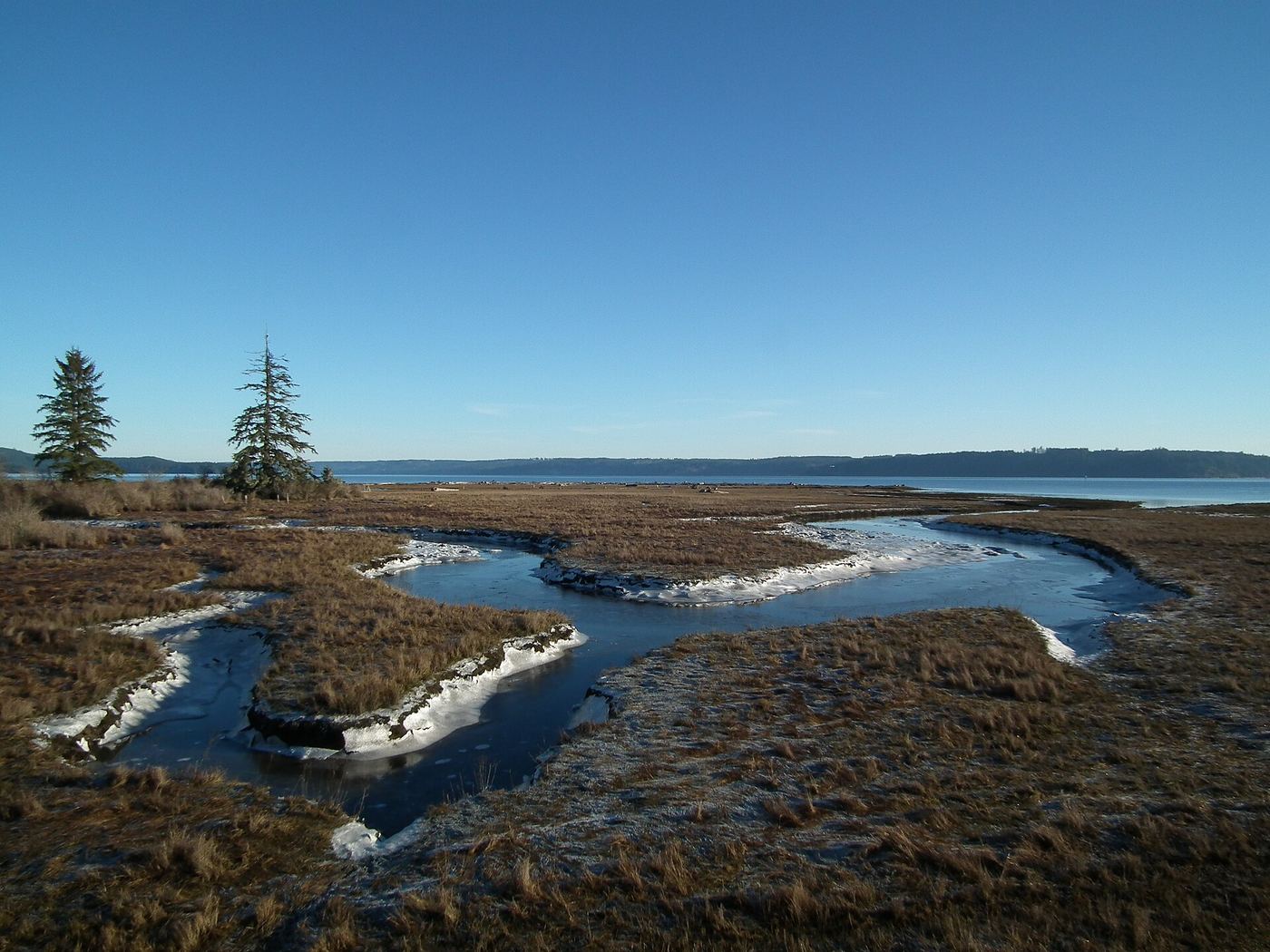 Dosewallips State Park