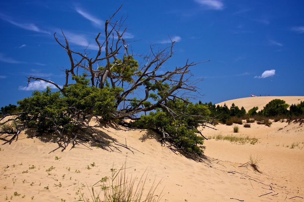 Jockey's Ridge State Park