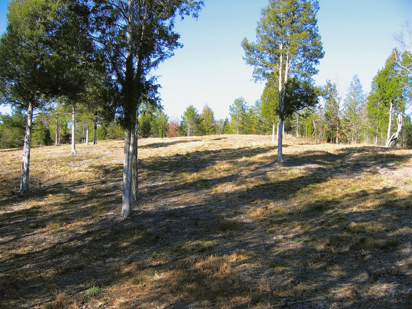 Musgrove Mill State Historic Site
