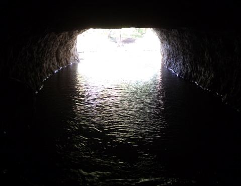 Harpeth River State Park