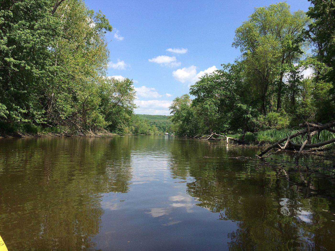 Dart Island State Park