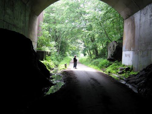 Hop River State Park Trail