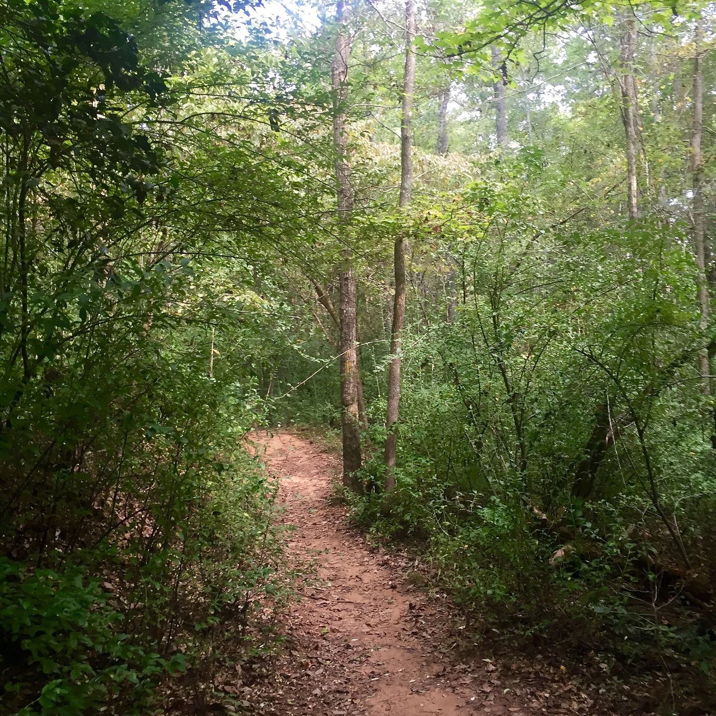 Croft State Park
