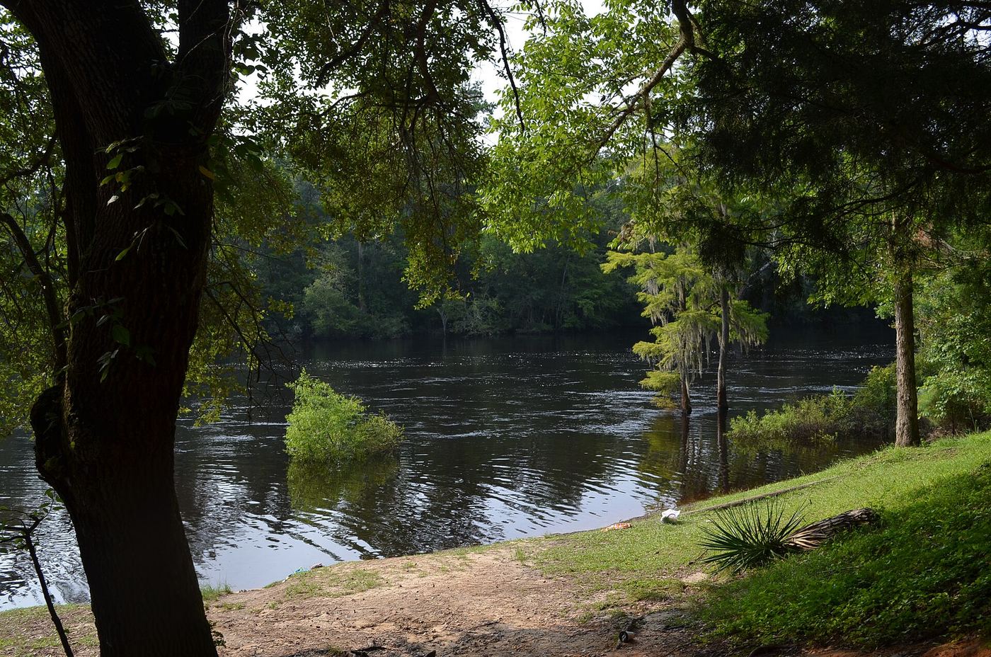 Givhans Ferry State Park