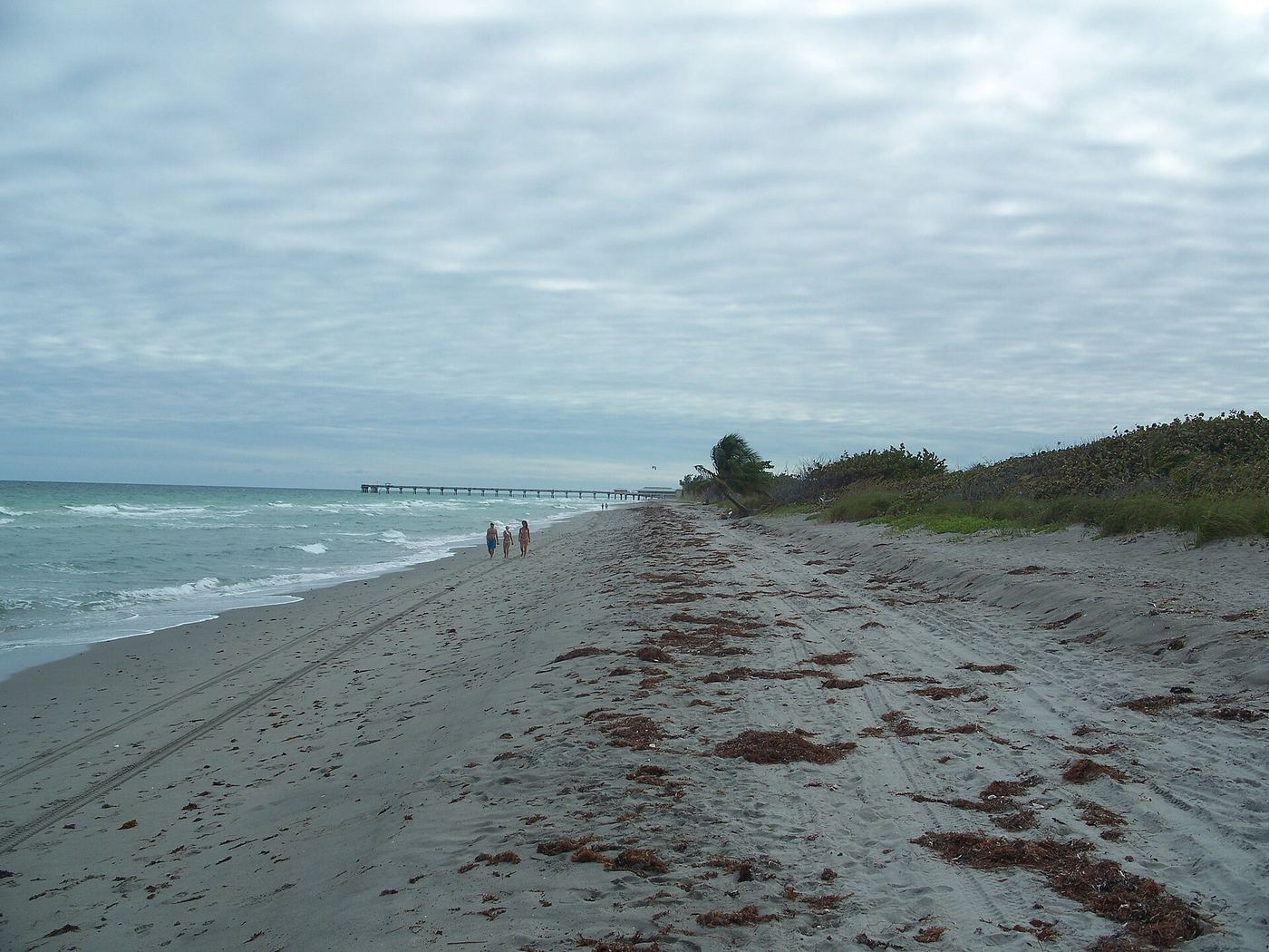 John U. Lloyd Beach State Park