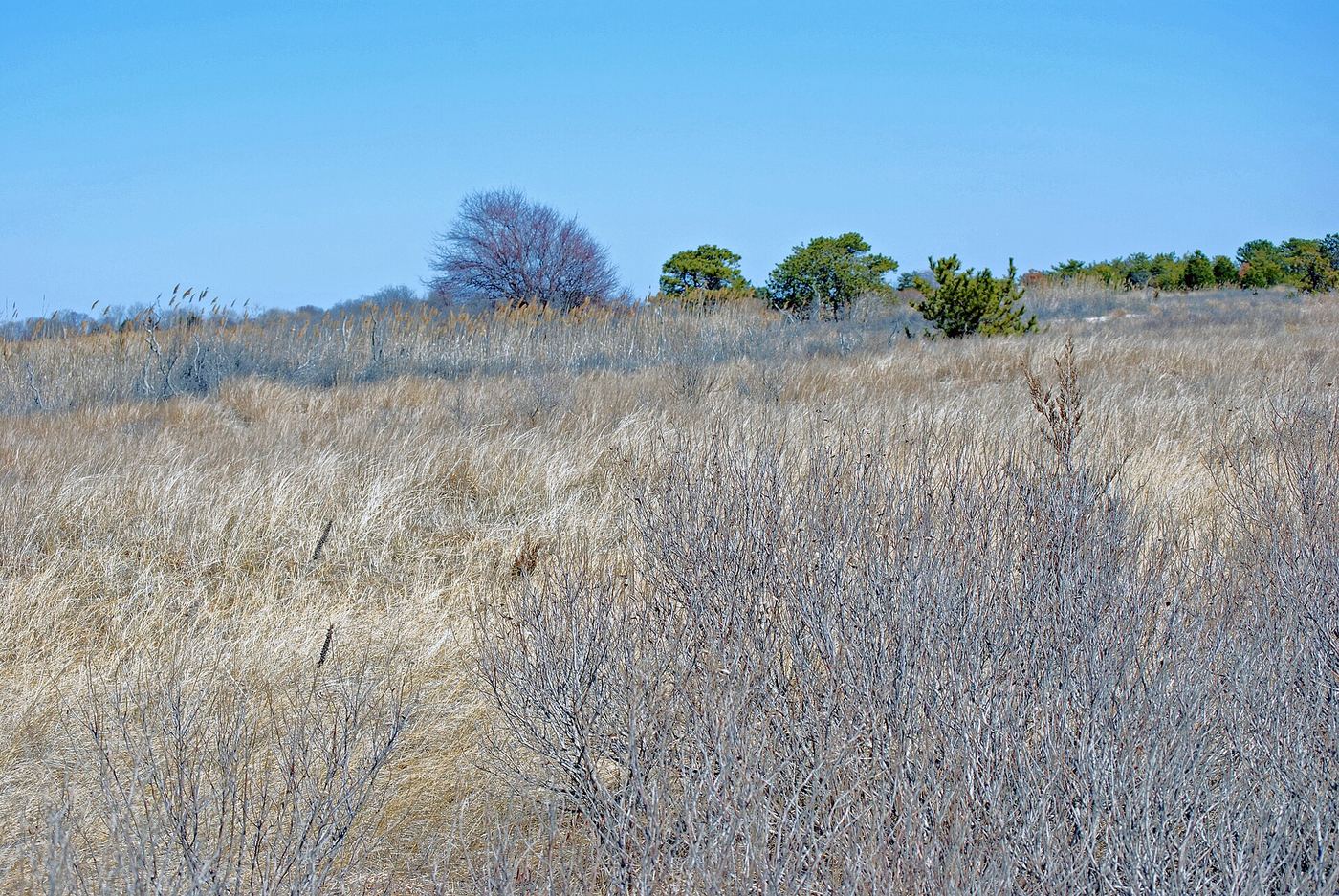Heckscher State Park