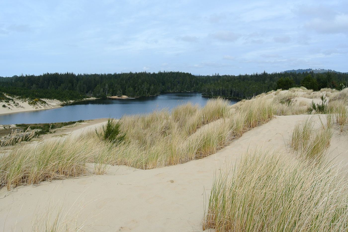 Jessie M. Honeyman Memorial State Park