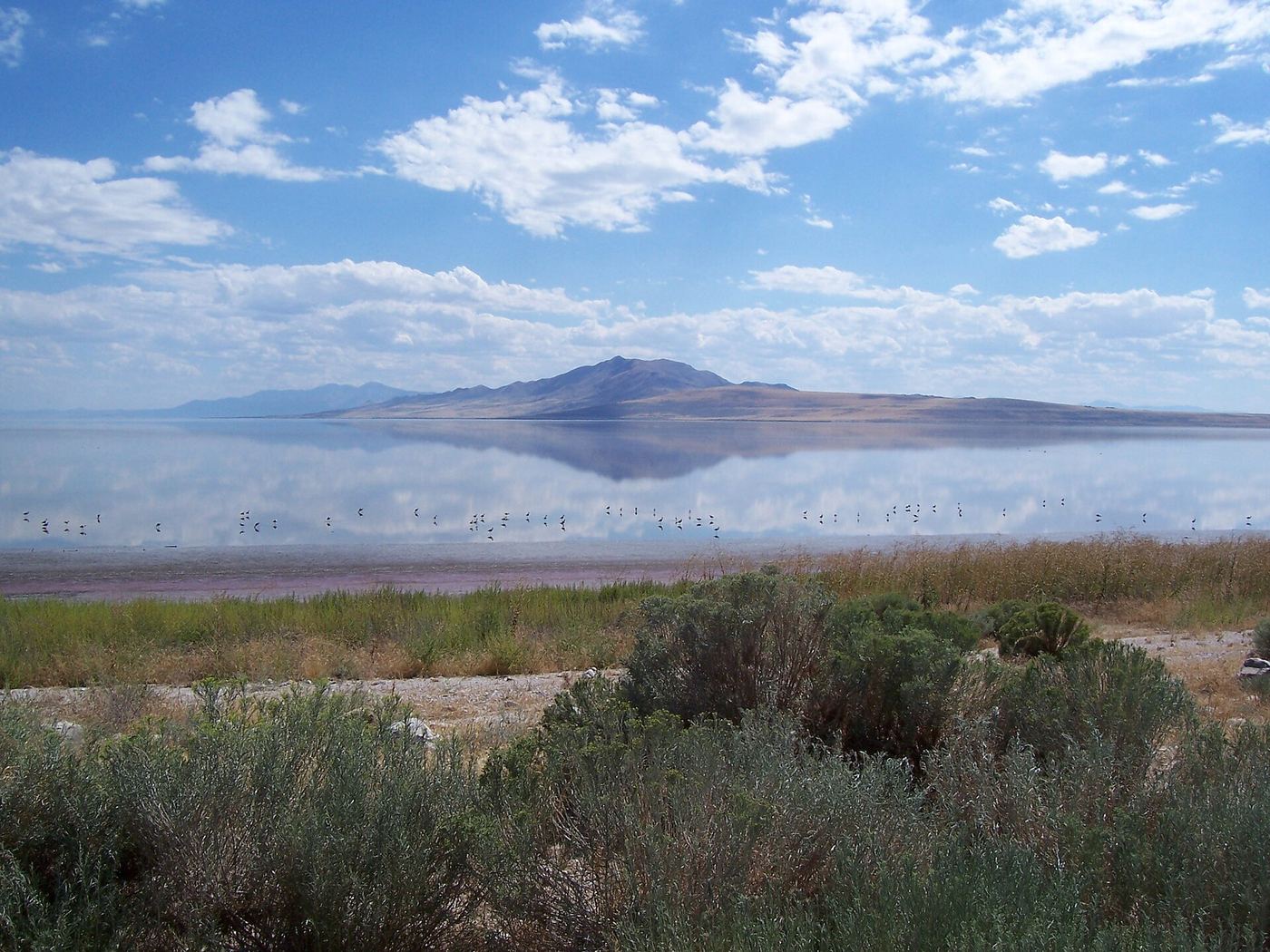 Antelope Island State Park