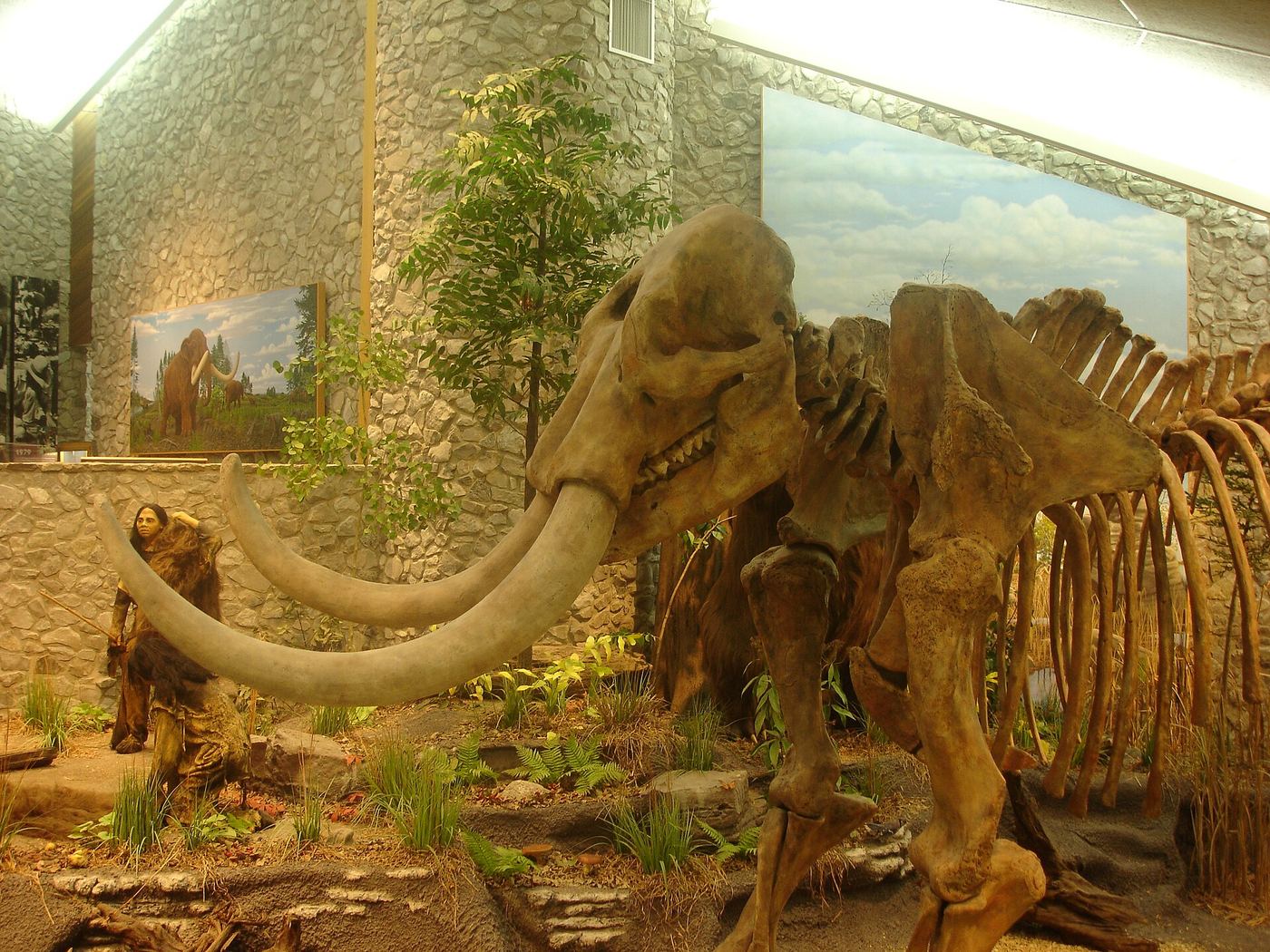 Mastodon State Historic Site