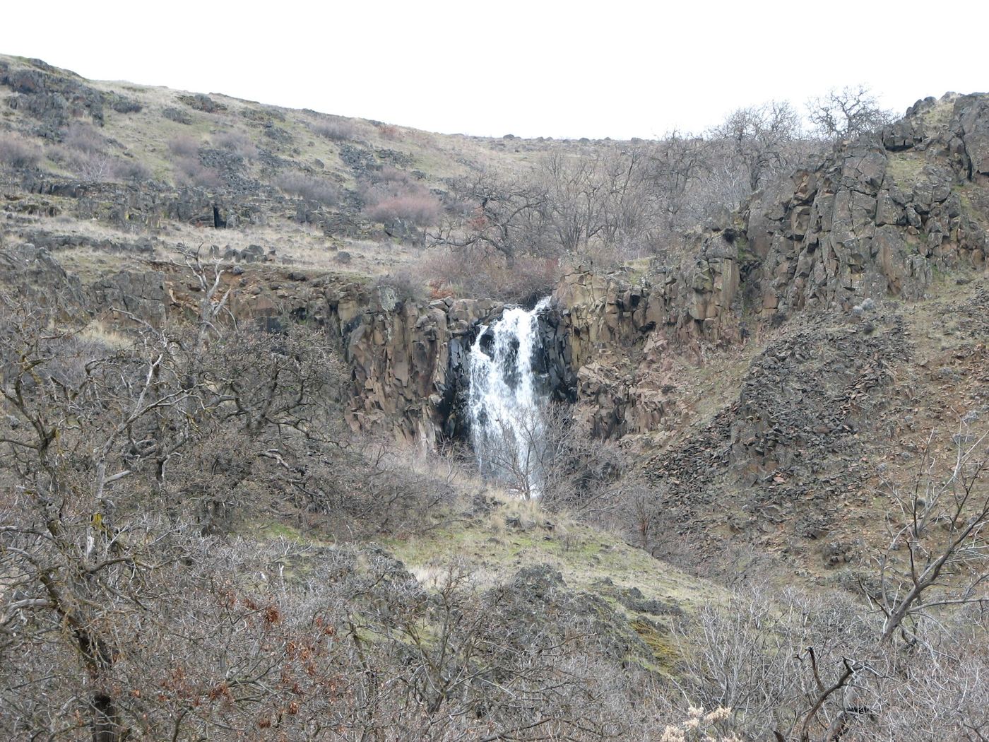 Columbia Hills Historical State Park