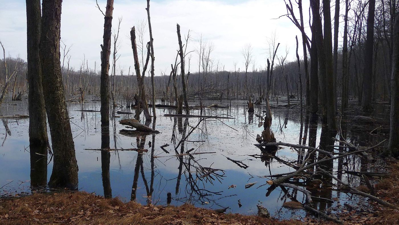 Farny State Park
