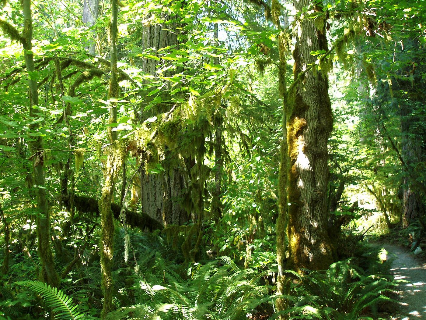 Rockport State Park