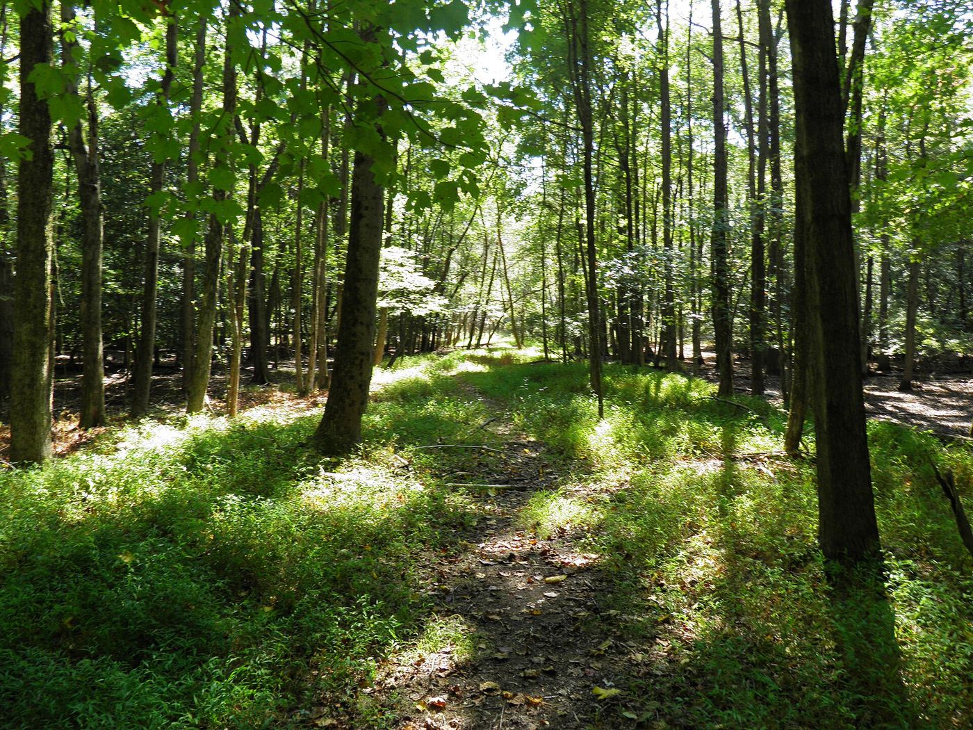 Rancocas State Park