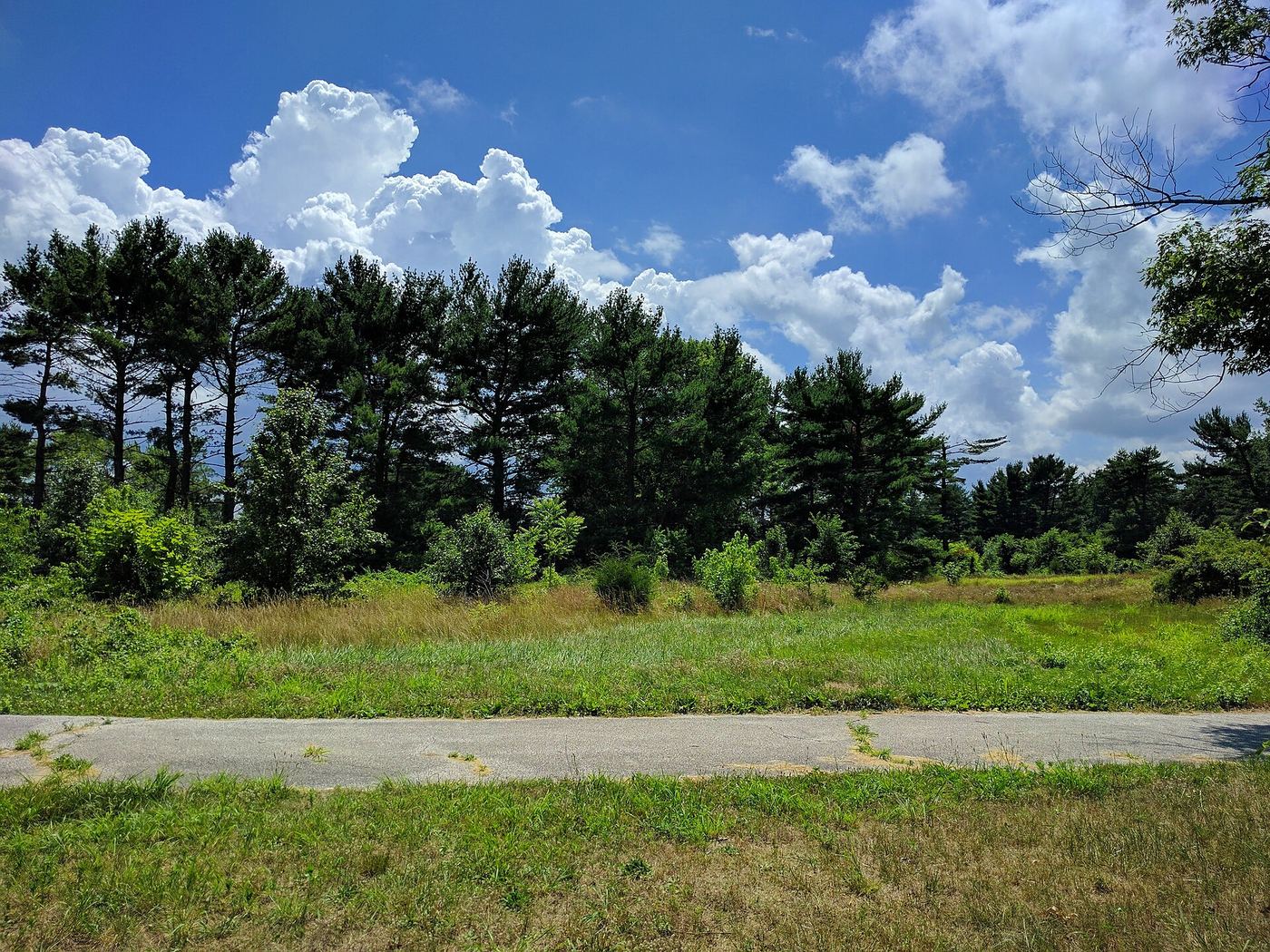 Tall Pines State Preserve