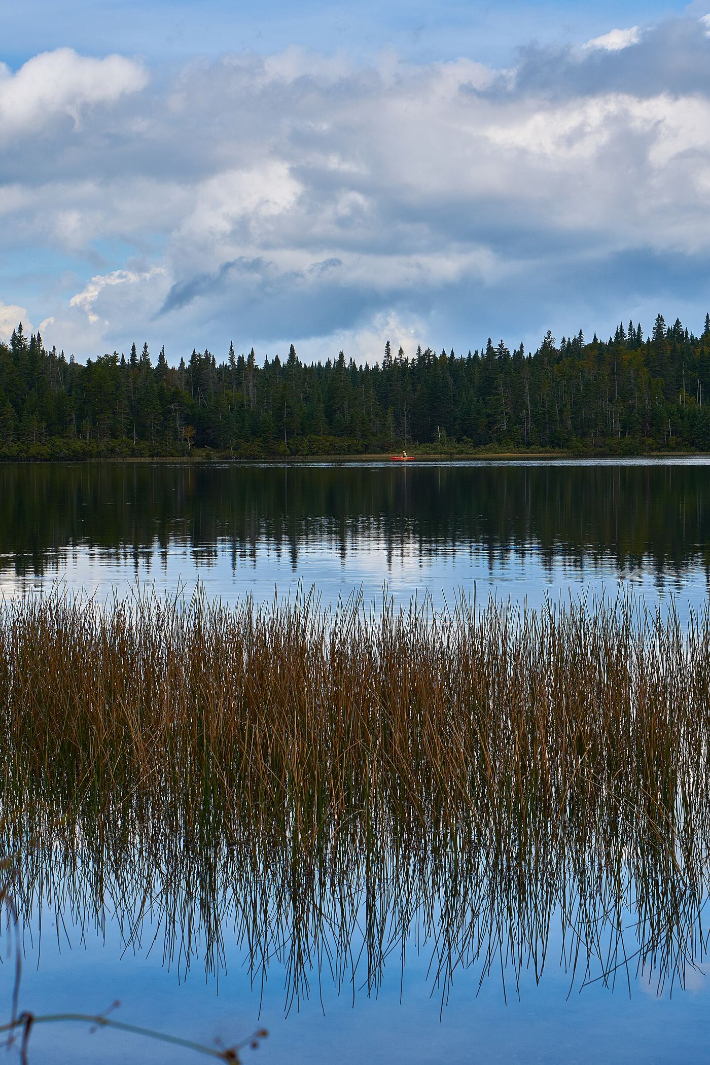 Coleman State Park
