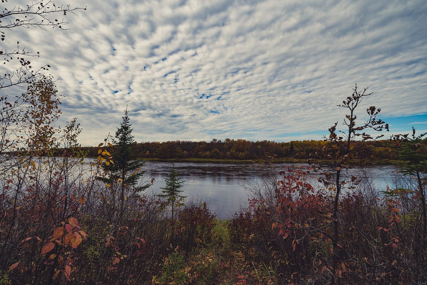 Franz Jevne State Park