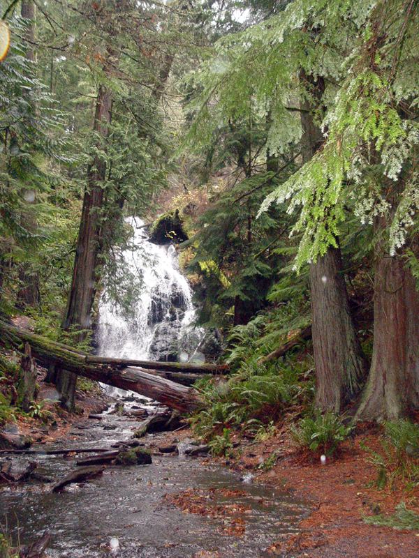 Moran State Park
