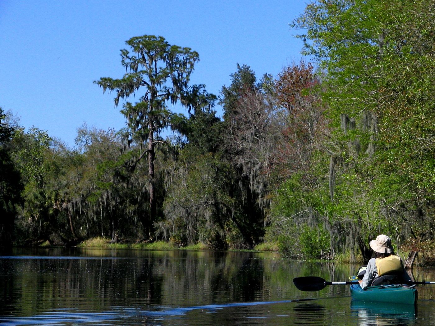 Alafia River State Park