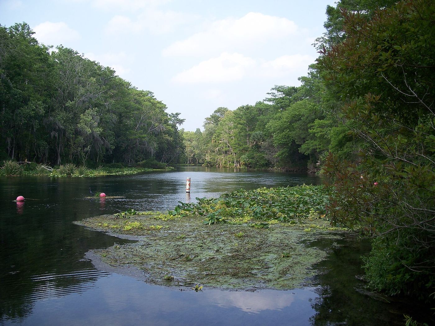 Silver Springs State Park