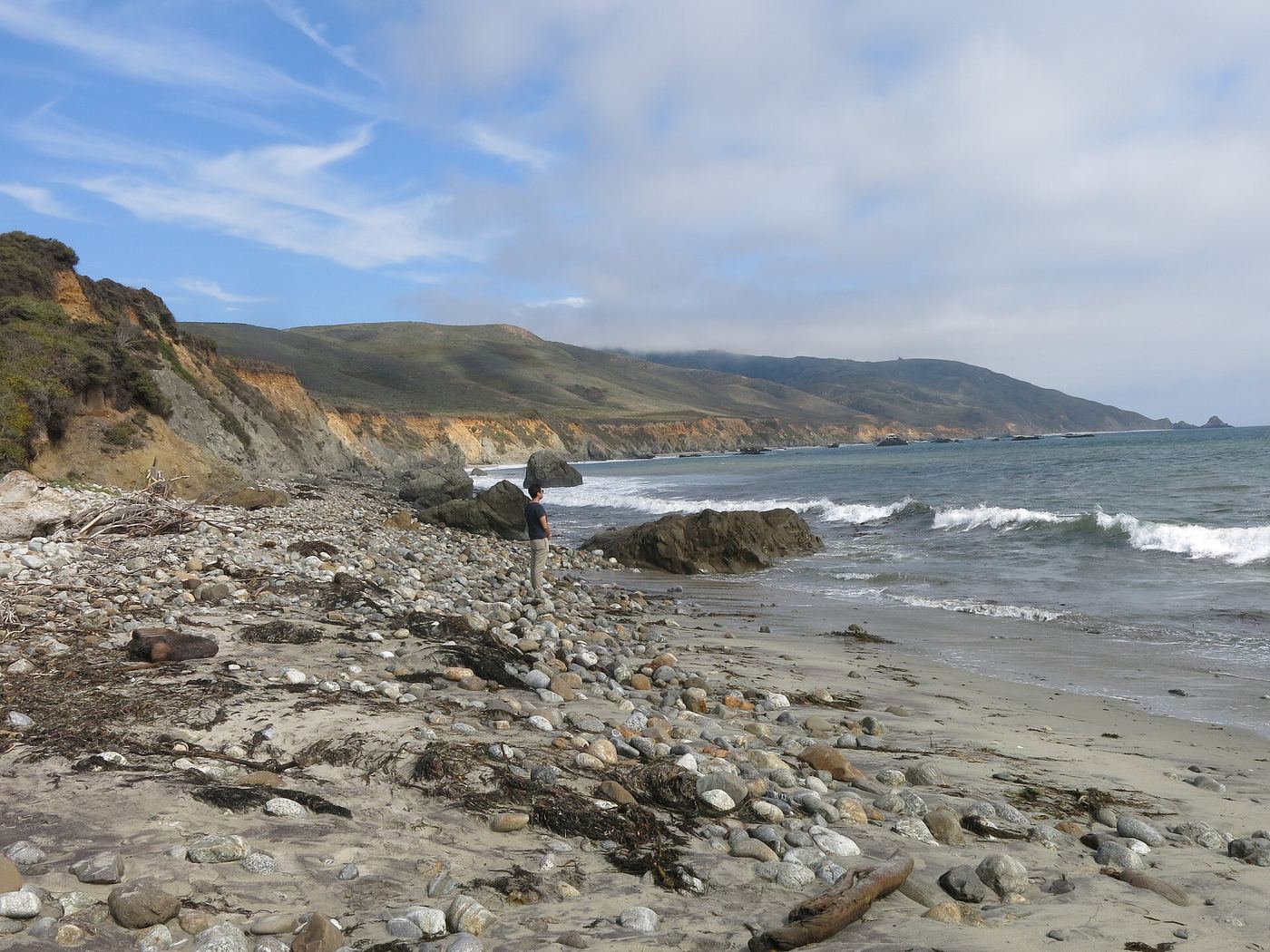 Andrew Molera State Park