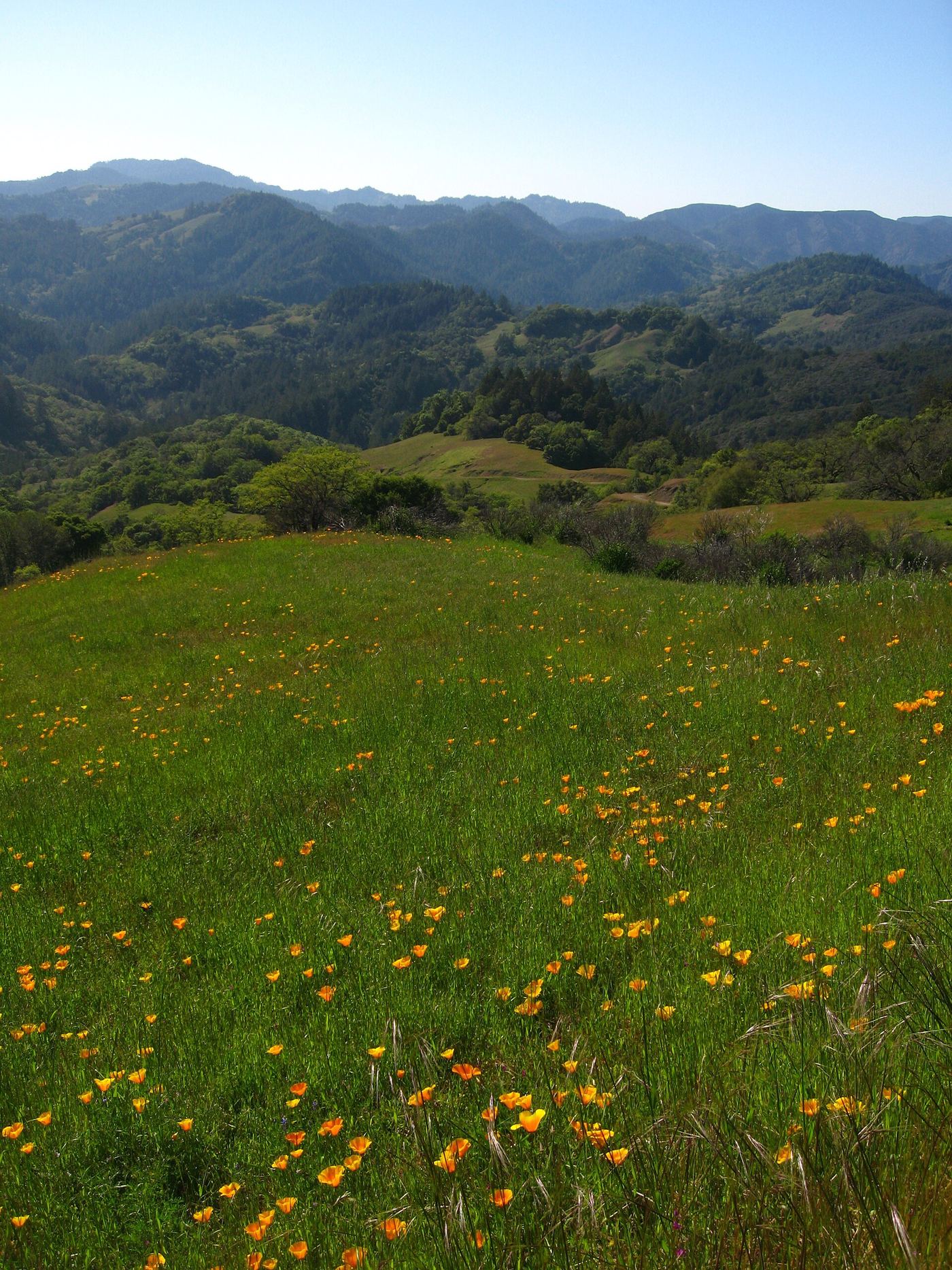 Austin Creek State Recreation Area