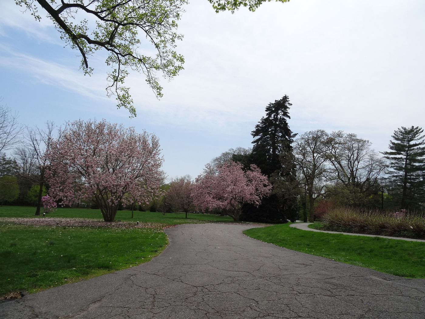 Bellevue State Park