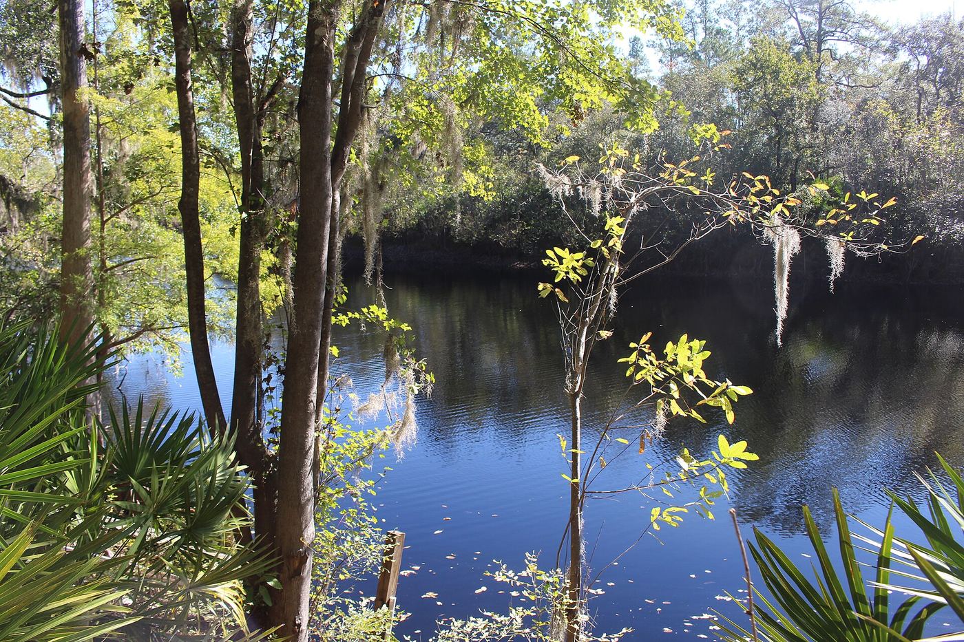 Big Shoals State Park