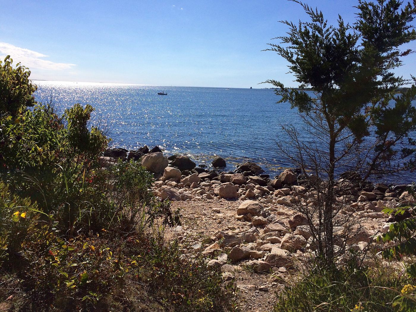 Bluff Point State Park