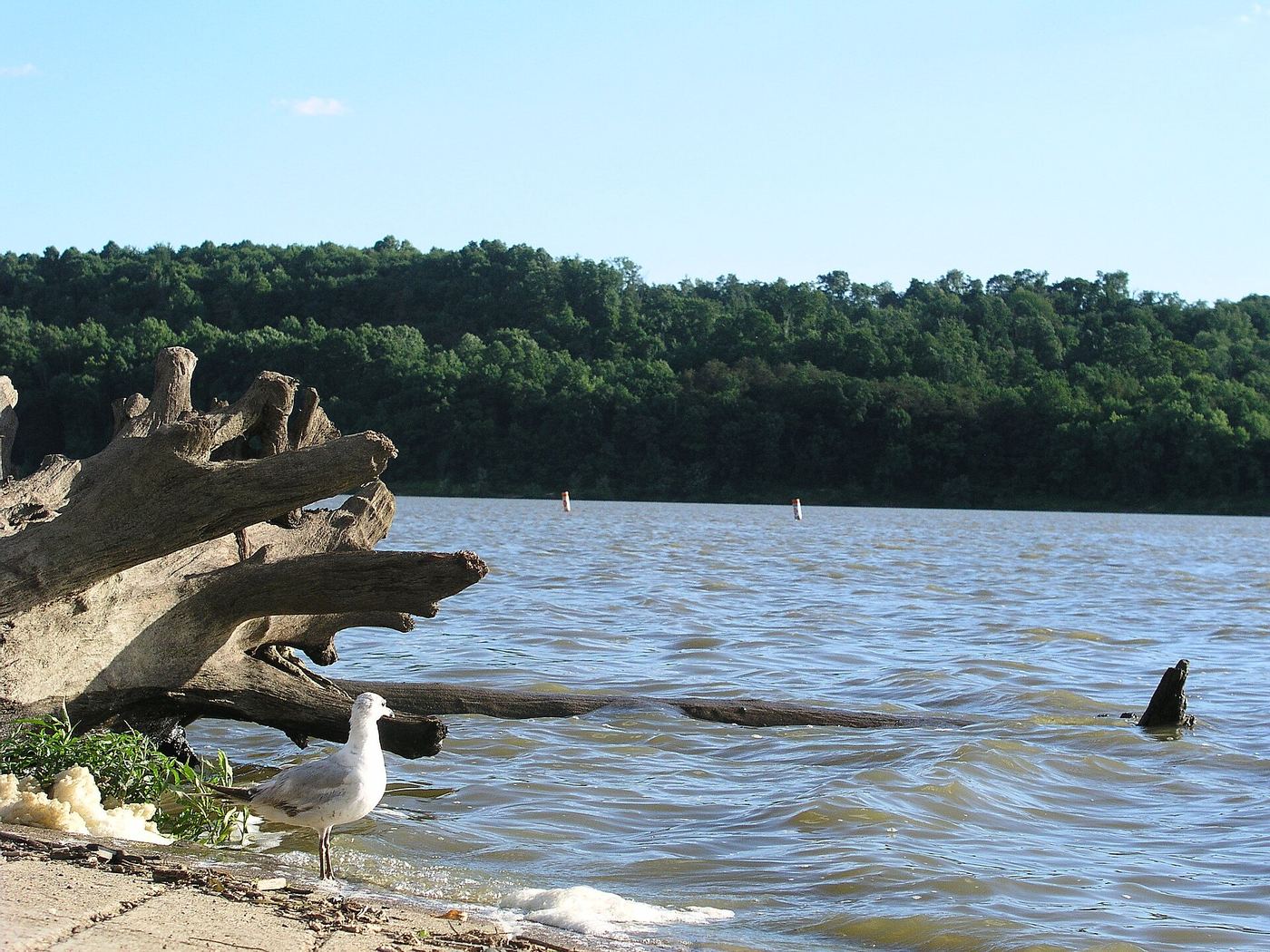 Dillon State Park
