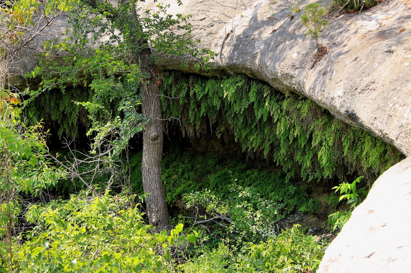Meridian State Park