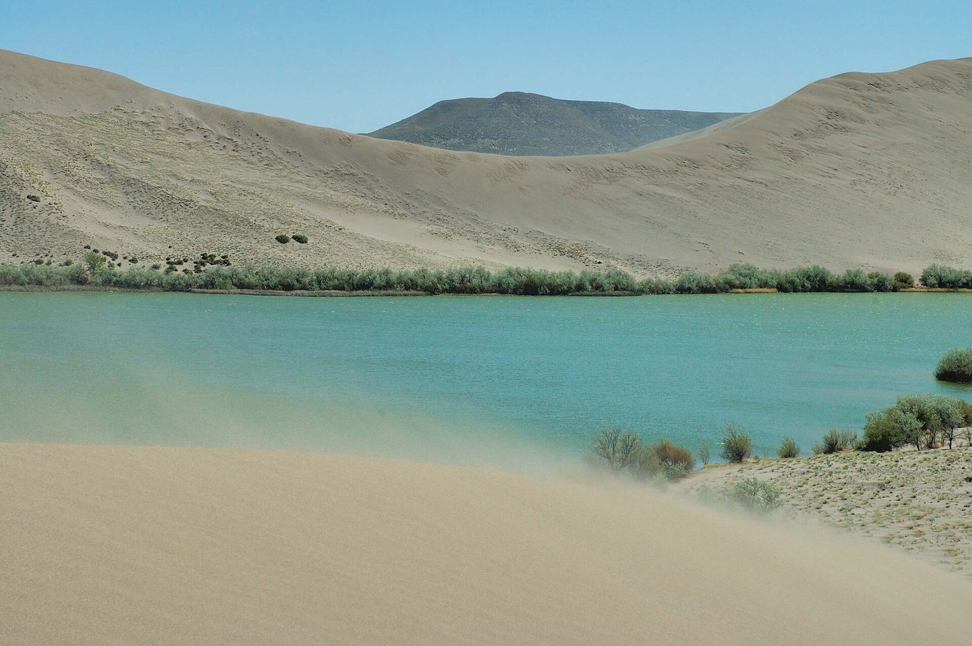 Bruneau Dunes State Park