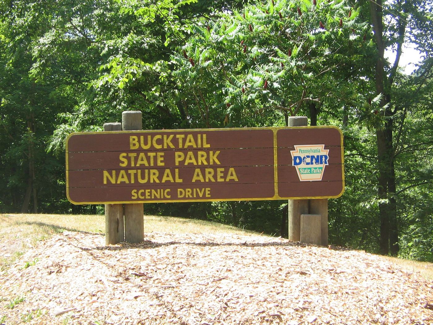 Bucktail State Park Natural Area