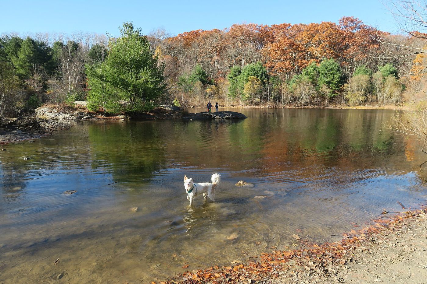 Callahan State Park