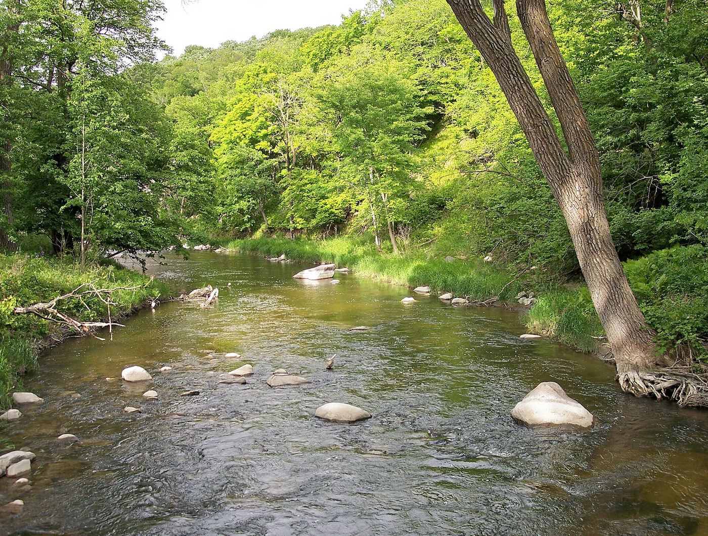 Camden State Park