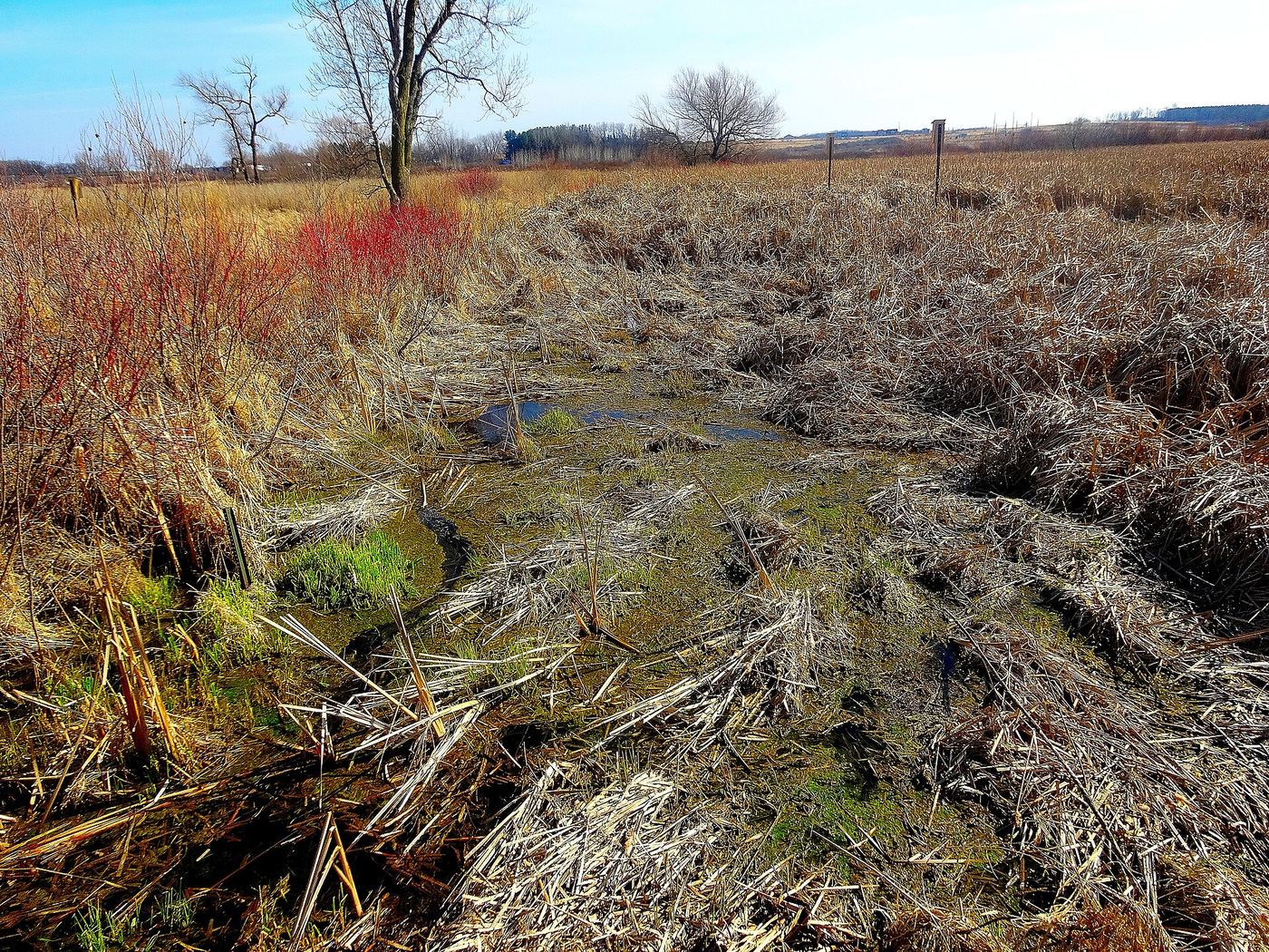Capital Springs State Recreation Area