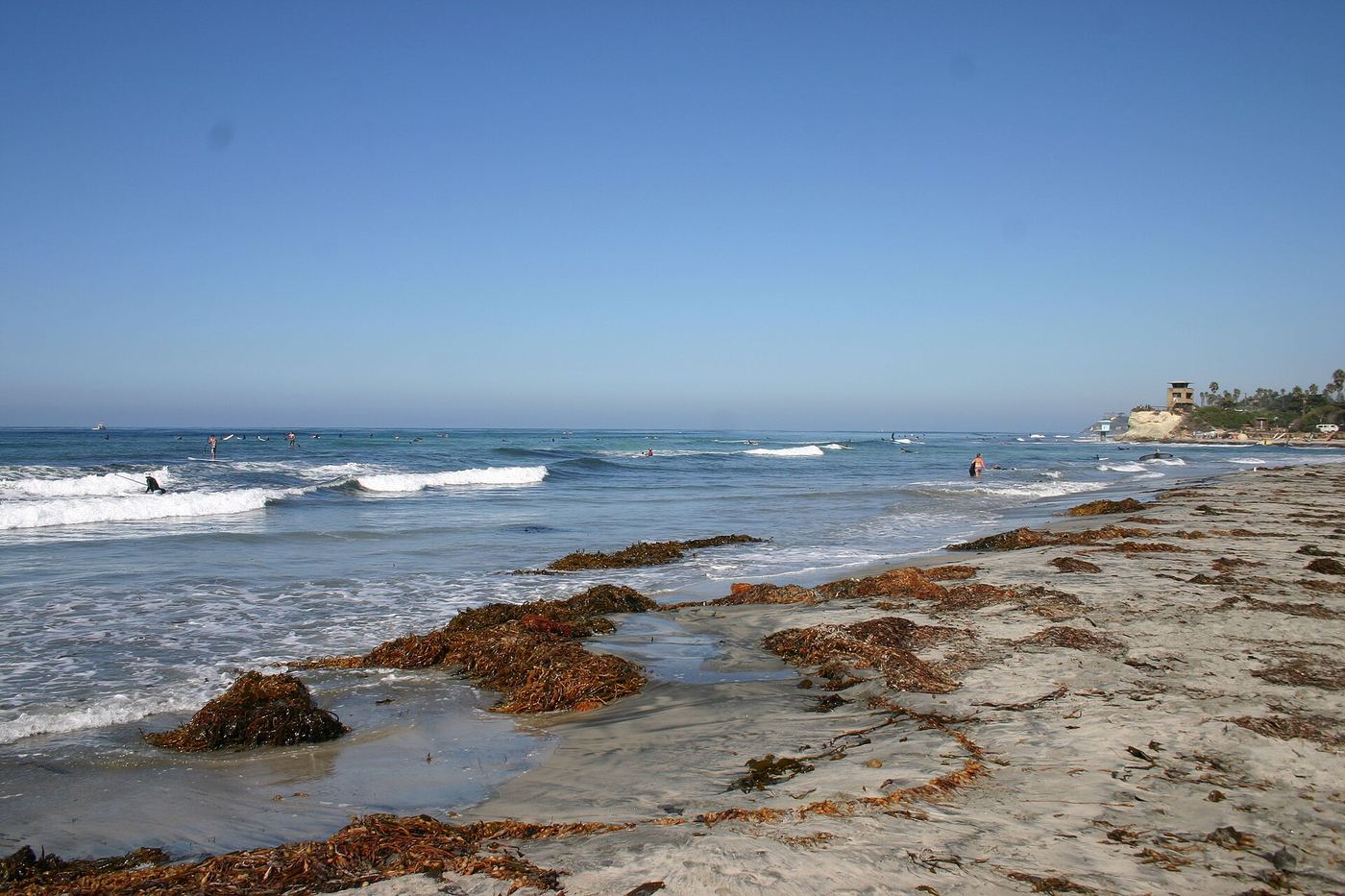 Cardiff State Beach