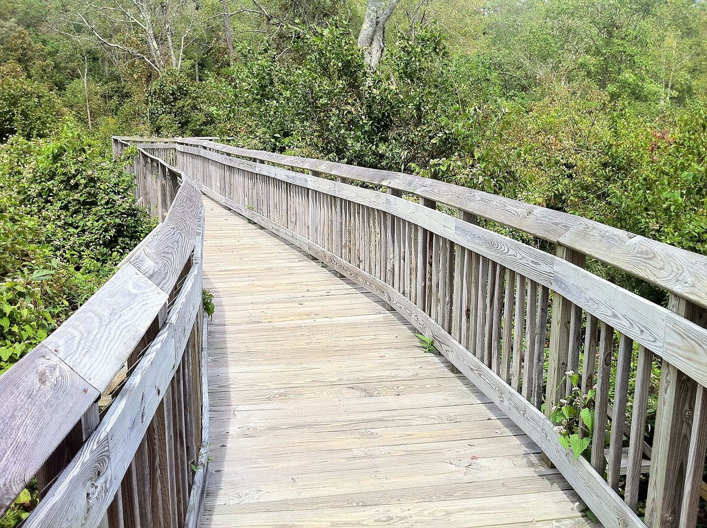 Chatfield Hollow State Park