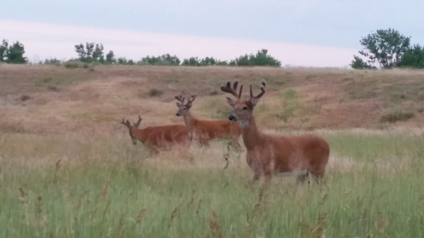 Cherry Creek State Park