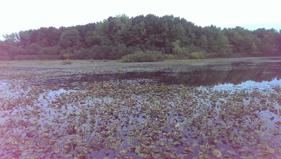 Clay Pit Ponds State Park Preserve