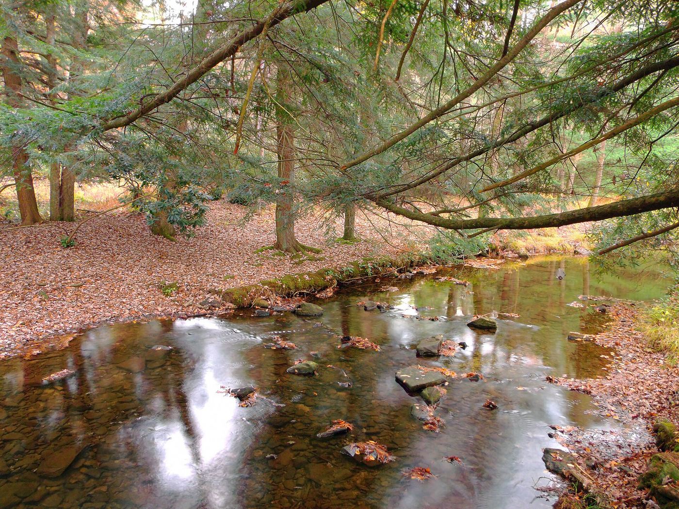 Clear Creek State Park