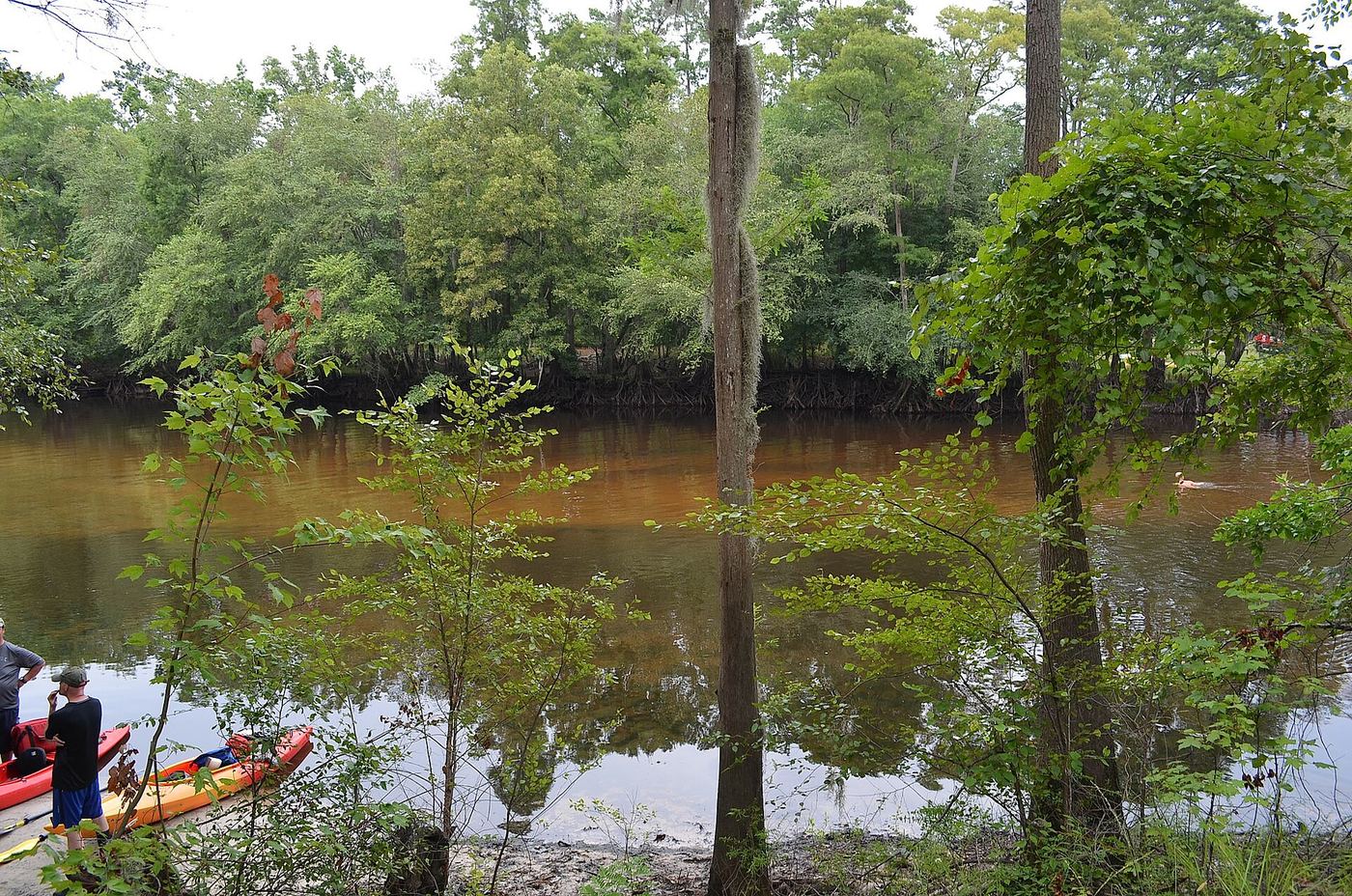 Colleton State Park