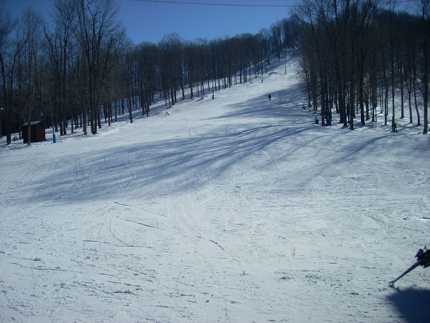 Denton Hill State Park