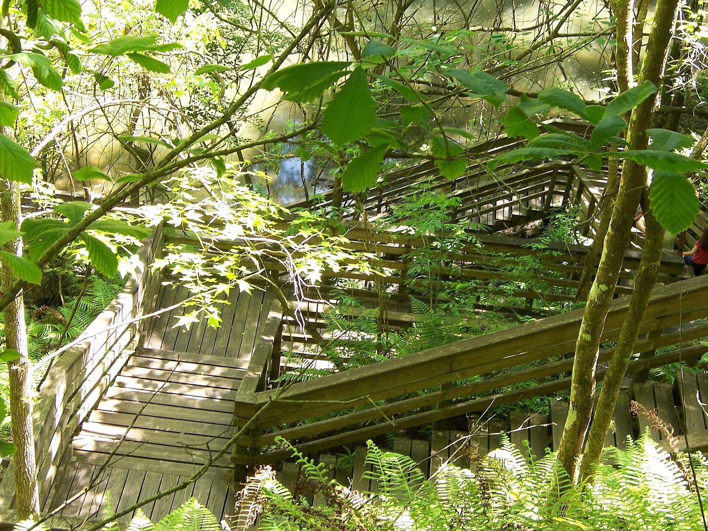 Devil's Millhopper Geological State Park
