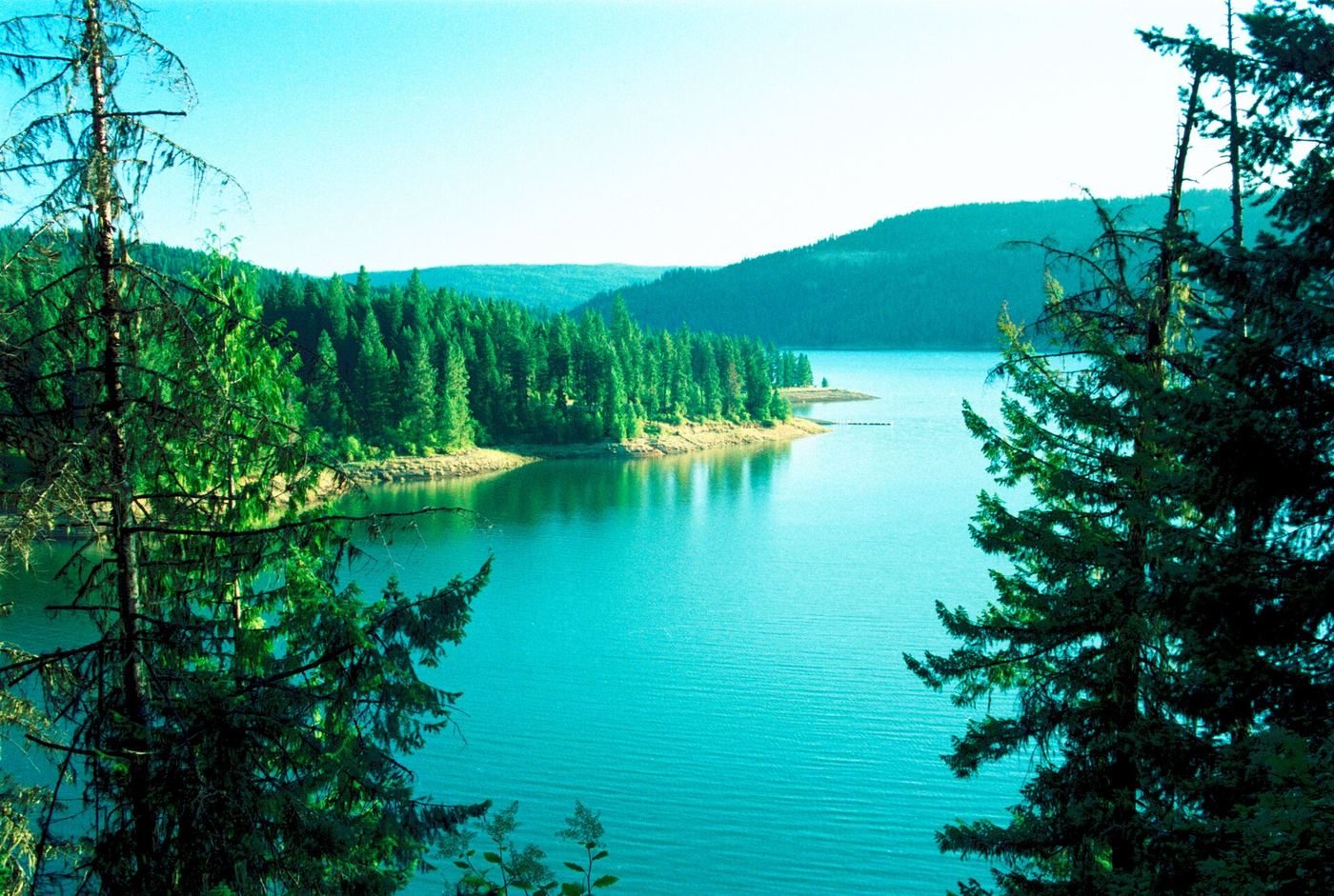 Dworshak State Park