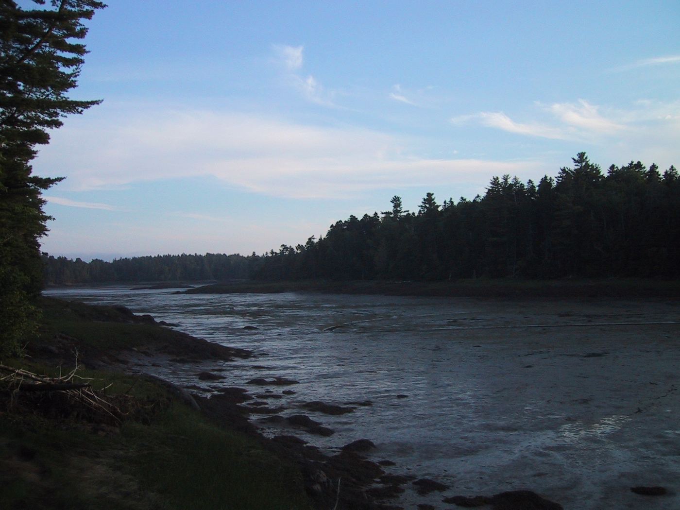 Cobscook Bay State Park