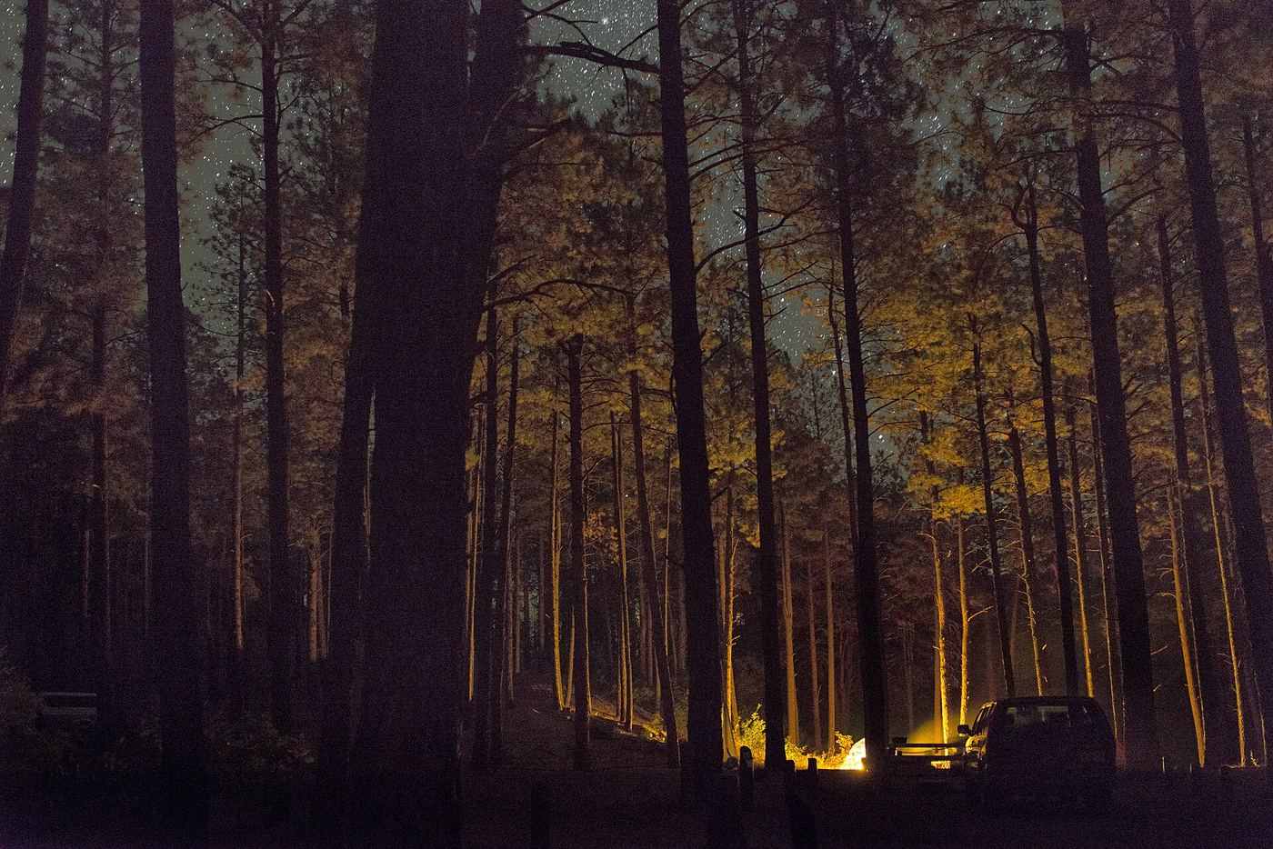 Fenton Lake State Park