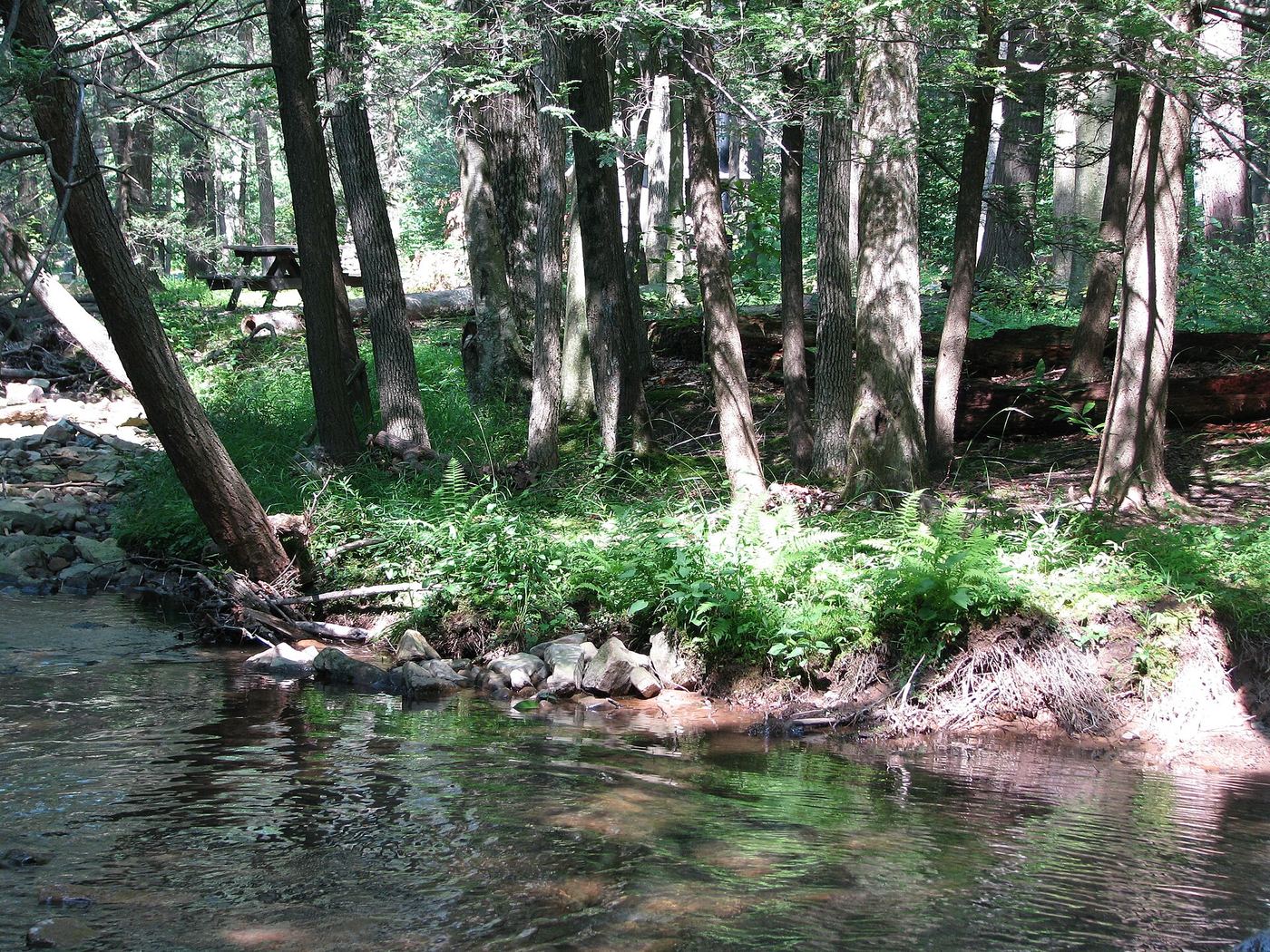 Fowlers Hollow State Park