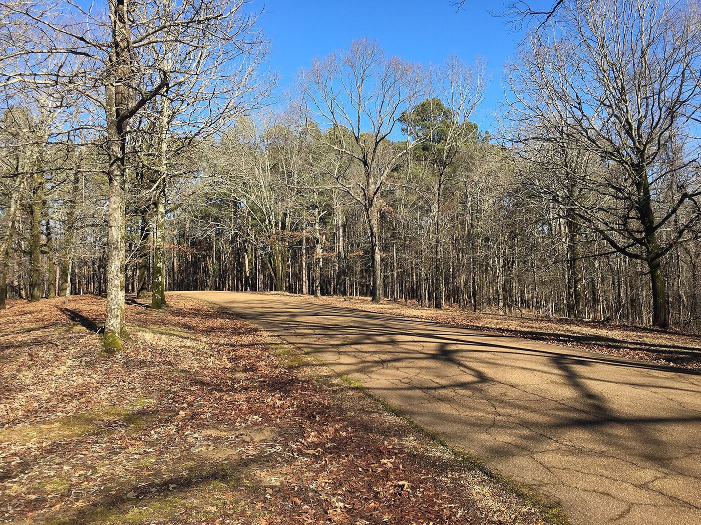 George P. Cossar State Park
